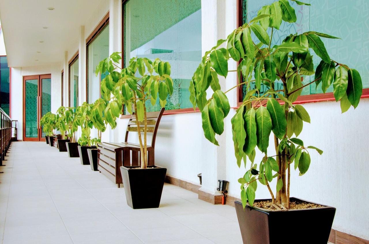 Hotel Boutique Luxury Pachuca de Soto Exterior foto